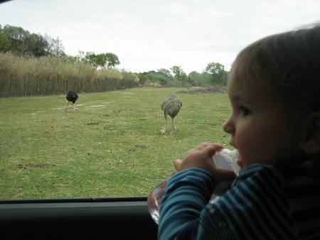 R�serve Africaine de SIGEAN