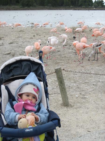 R�serve Africaine de SIGEAN