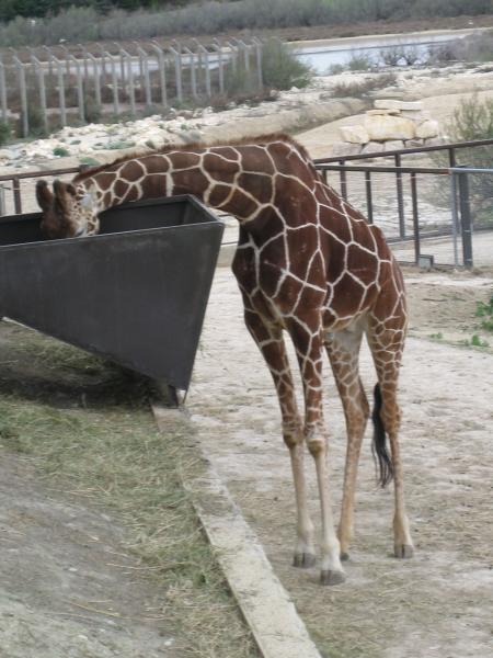 R�serve Africaine de SIGEAN