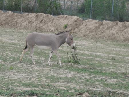 R�serve Africaine de SIGEAN