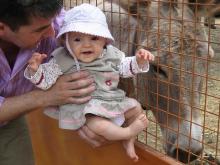 La f�te du chien...