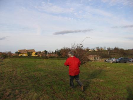 Nettoyage du terrain