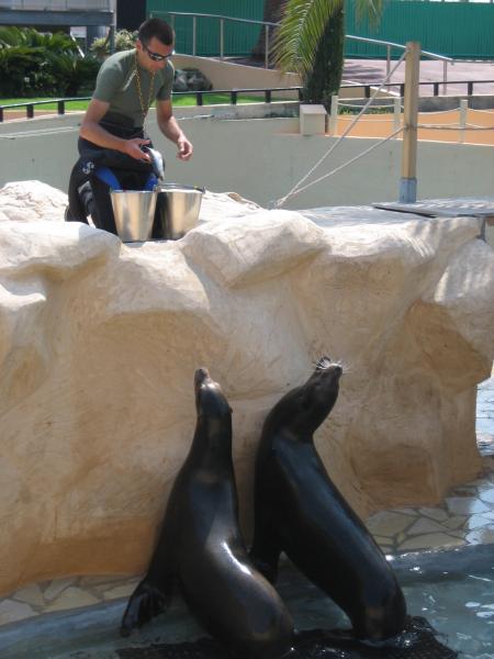 Marineland