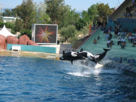 Marineland
