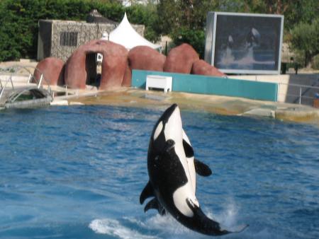 Marineland
