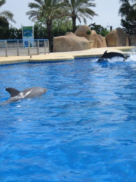Marineland