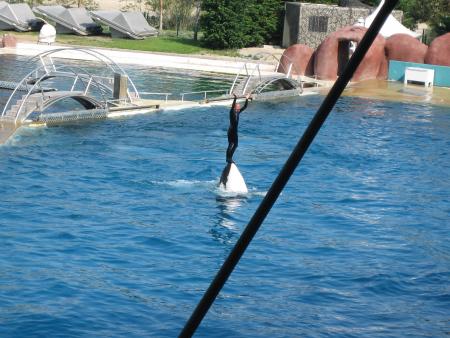 Marineland