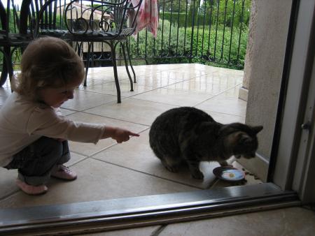 Le chat de Mamy Vivi