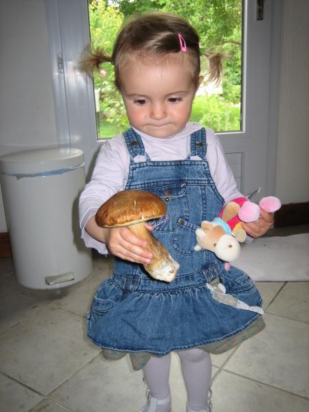 Les champignons de Papou !