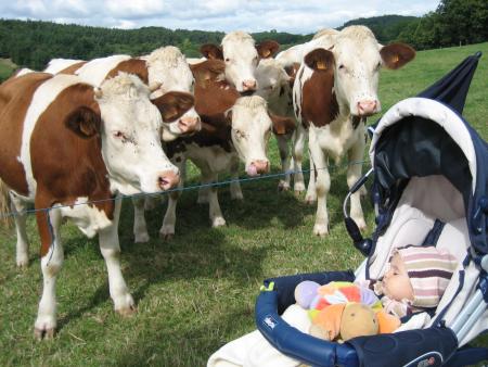 Vacances en ard�che