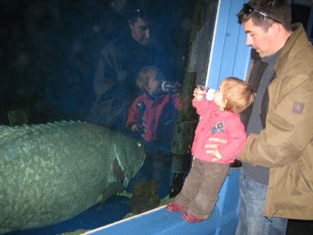 SeaQuarium du Grau du roi